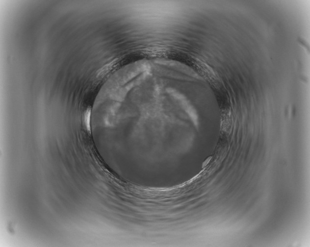 X0000098090047200804181247