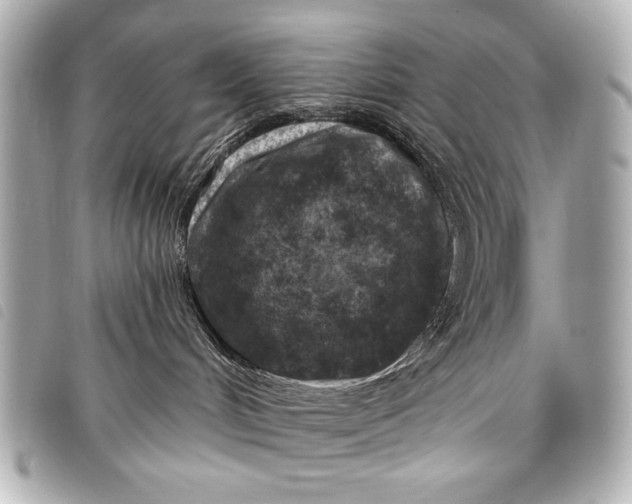 X0000098090048200804181247