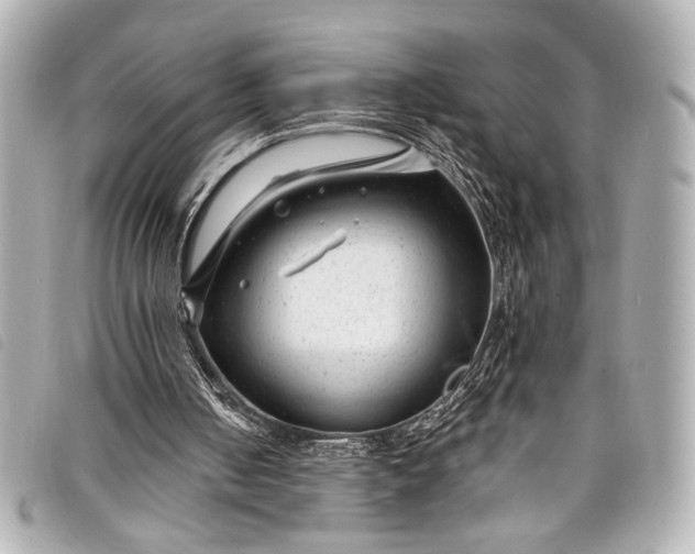 X0000098090050200804181246
