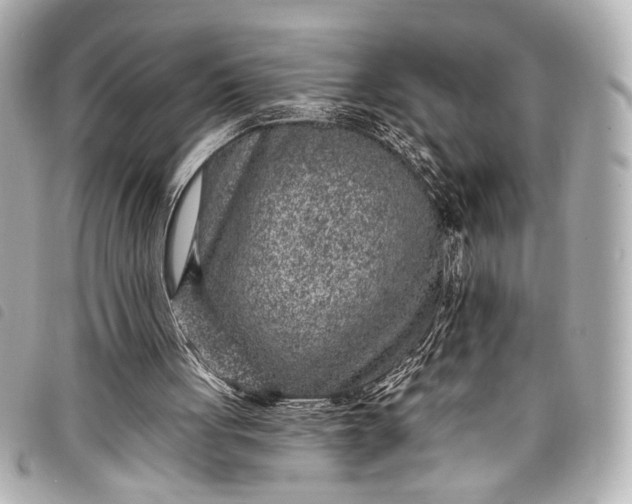 X0000098090051200804181246