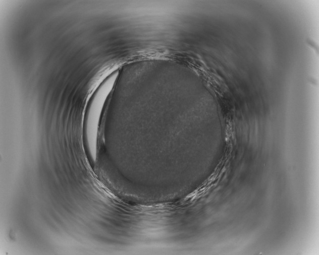 X0000098090052200804181246