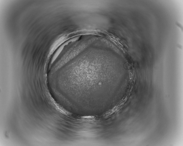 X0000098090053200804181246