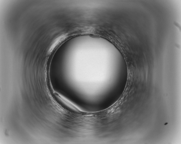 X0000098090054200804181246