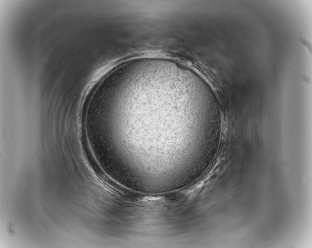 X0000098090055200804181246