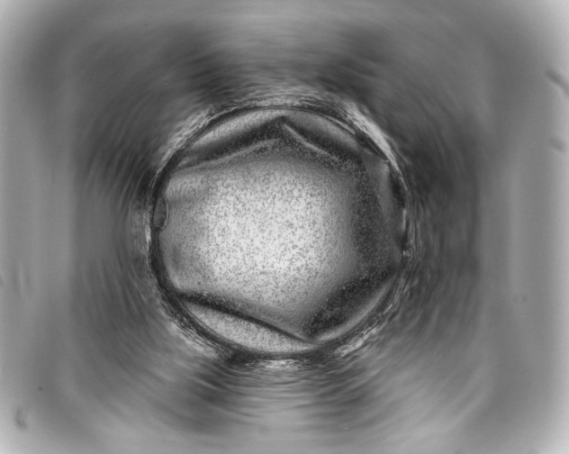 X0000098090059200804181246