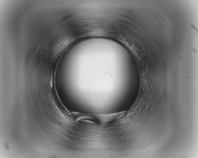 X0000098090062200804181246