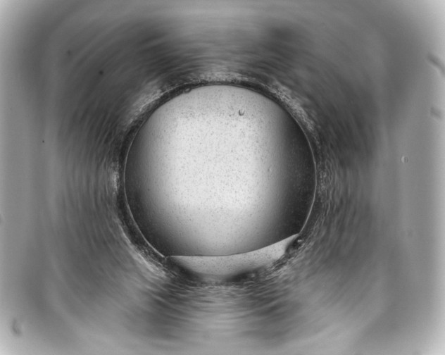 X0000098090063200804181246
