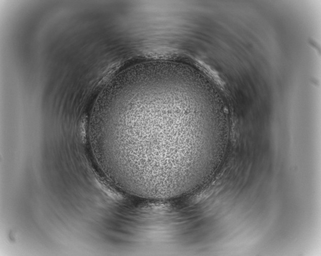 X0000098090065200804181246