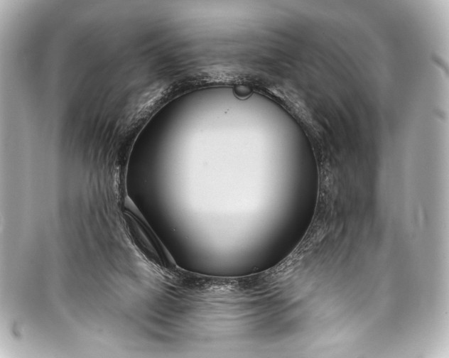 X0000098090066200804181246
