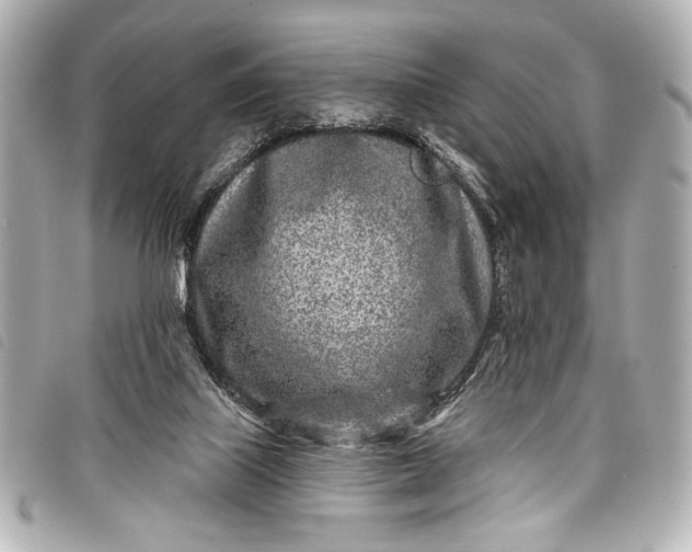 X0000098090067200804181246