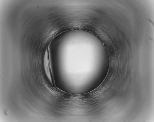 X0000098090072200804181246