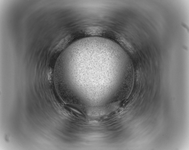 X0000098090073200804181246