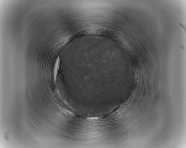 X0000098090076200804181247