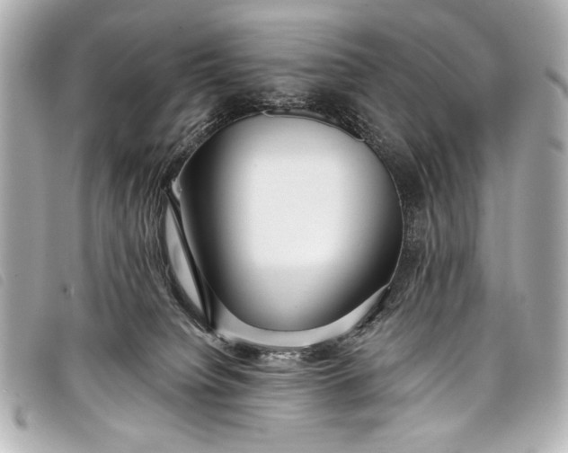 X0000098090084200804181247