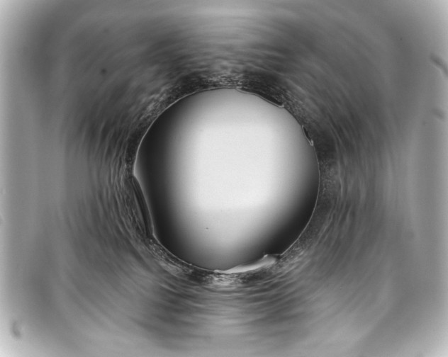 X0000098090088200804181247