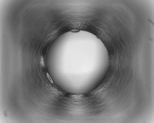 X0000098090089200804181247