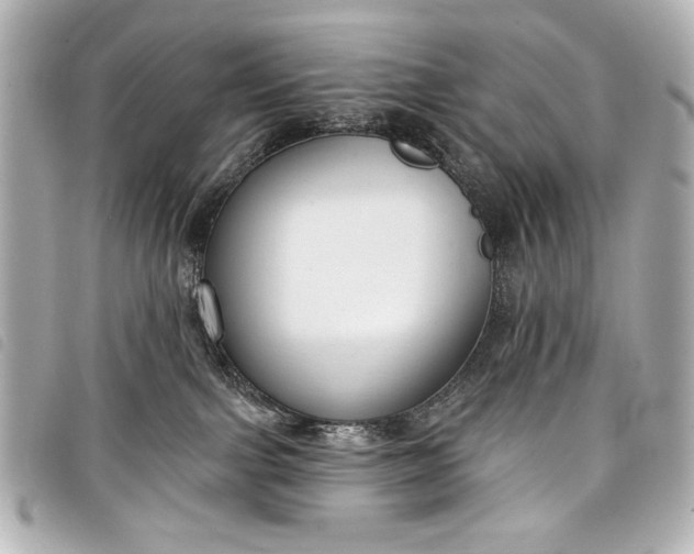 X0000098090091200804181247