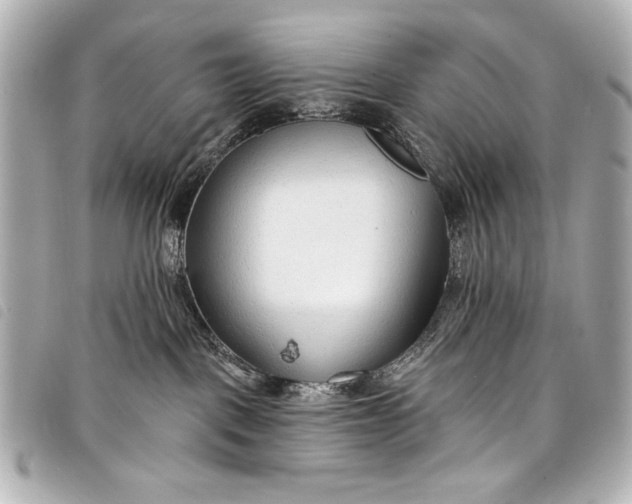 X0000098090093200804181247