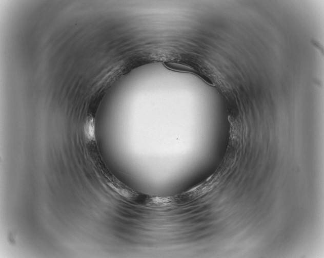 X0000098090095200804181247