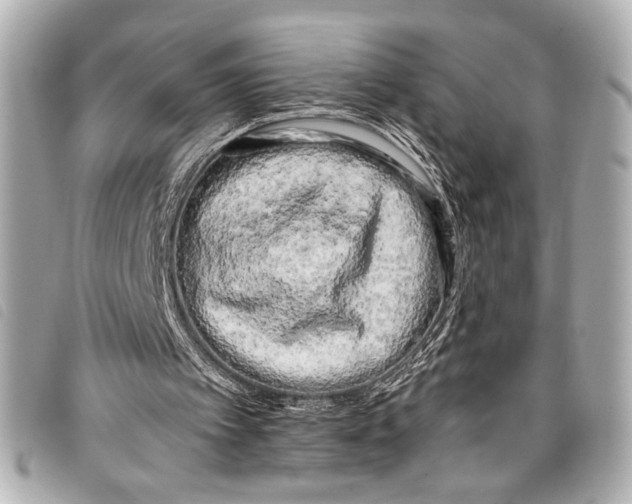 X0000098090097200804181246