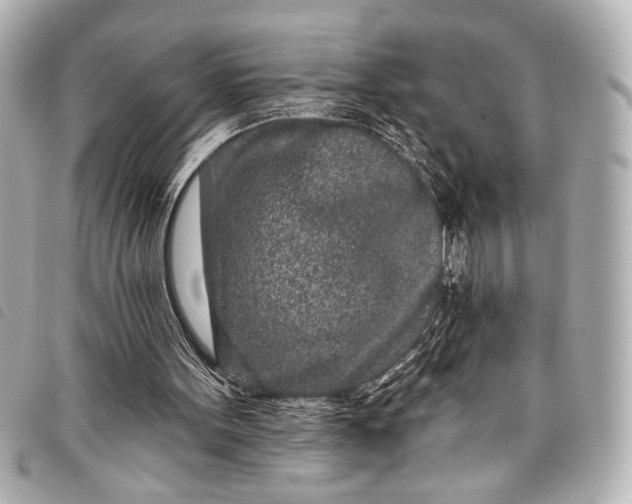 X0000098090099200804181246