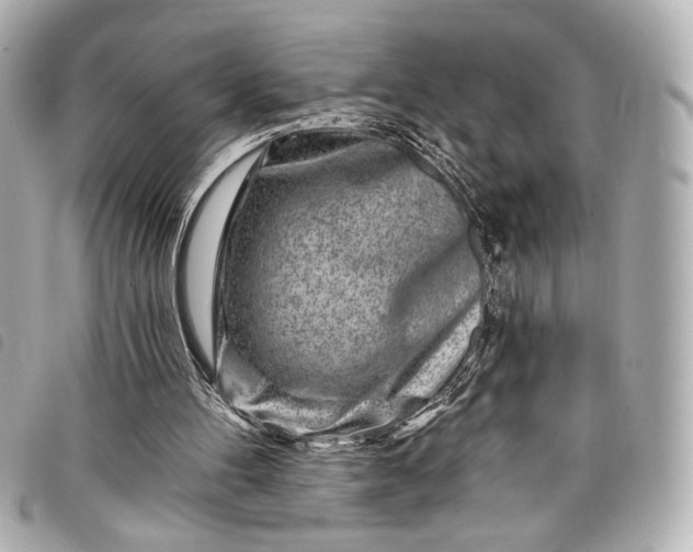X0000098090100200804181246