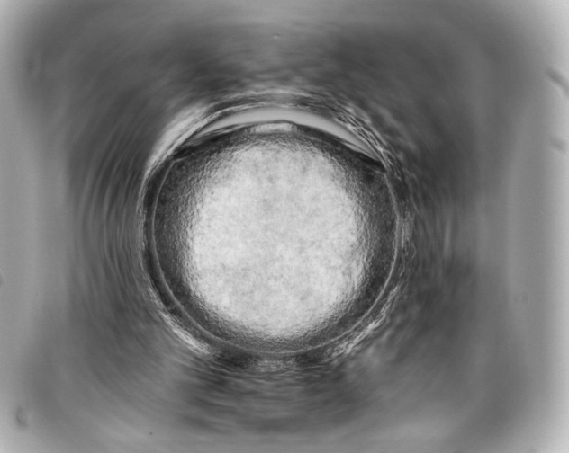 X0000098090101200804181246