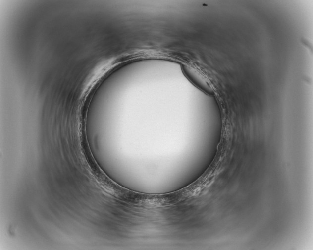 X0000098090103200804181246