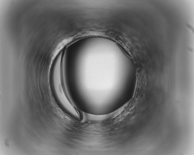 X0000098090104200804181246