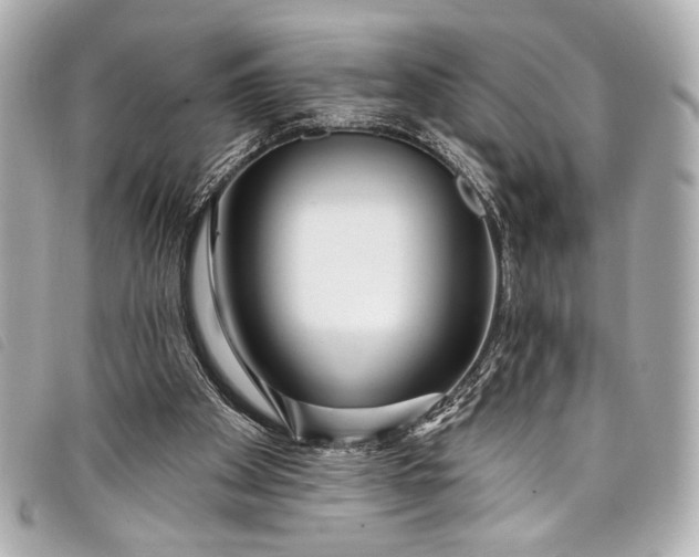 X0000098090105200804181246