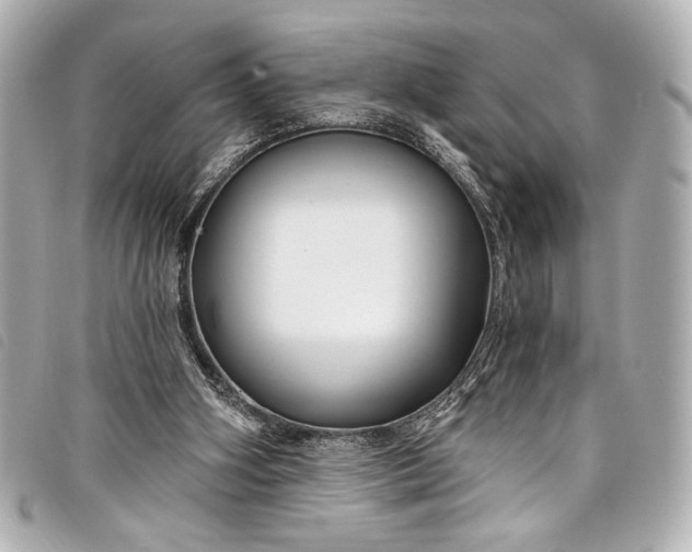 X0000098090106200804181246