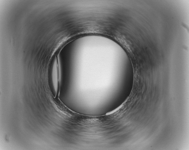 X0000098090108200804181246