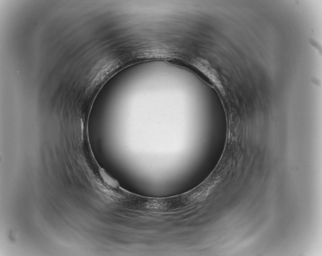 X0000098090109200804181246