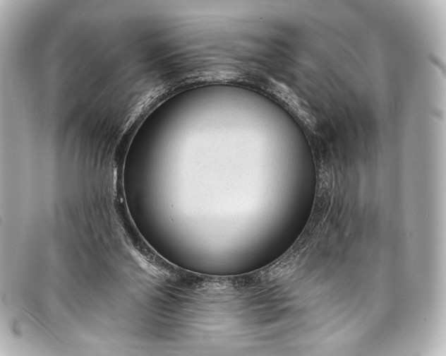 X0000098090110200804181246