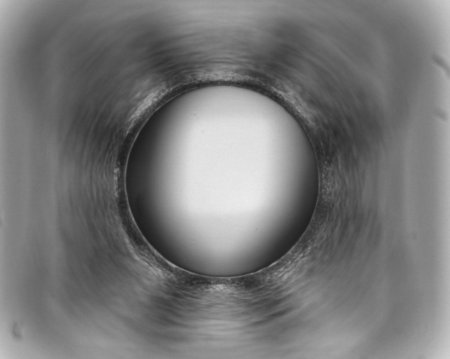 X0000098090111200804181246