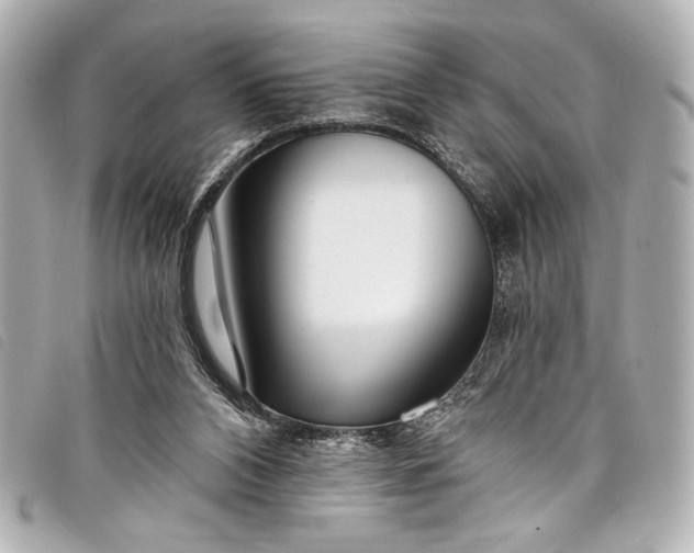 X0000098090112200804181246
