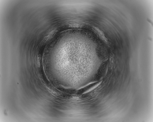 X0000098090114200804181246