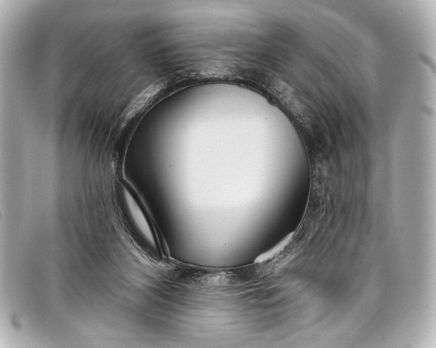X0000098090116200804181246