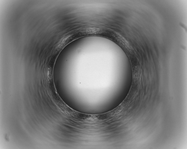 X0000098090119200804181246