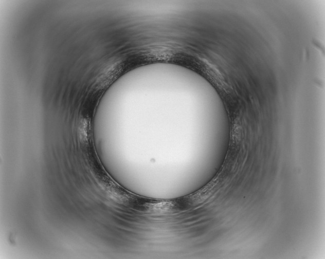 X0000098090122200804181246