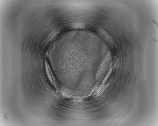 X0000098090124200804181246