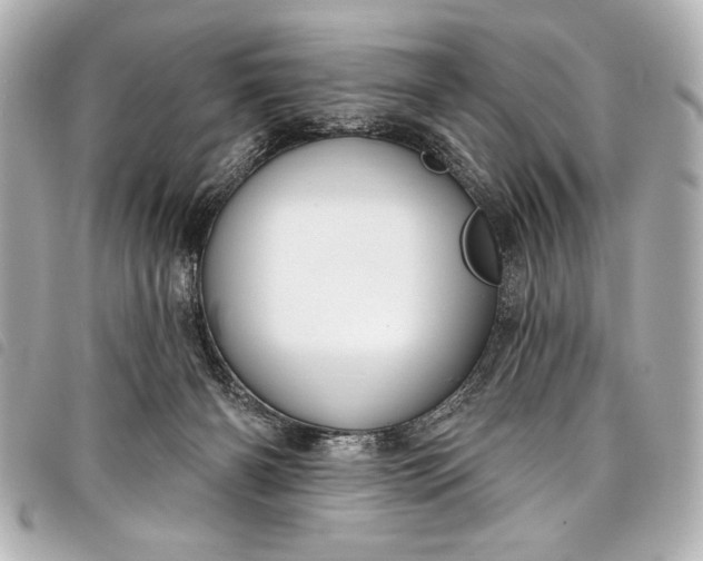 X0000098090126200804181246