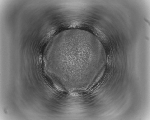X0000098090127200804181246