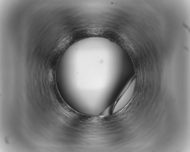 X0000098090128200804181246