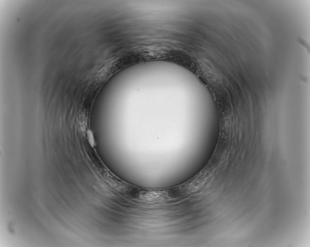 X0000098090129200804181246