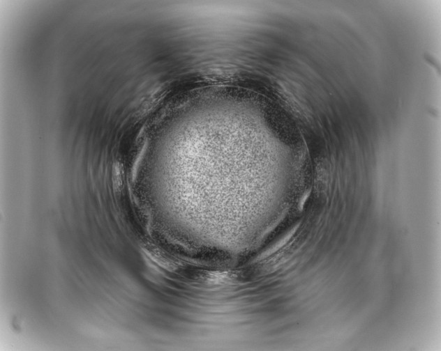 X0000098090130200804181246