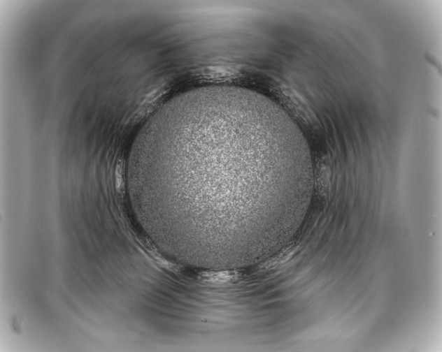 X0000098090131200804181246
