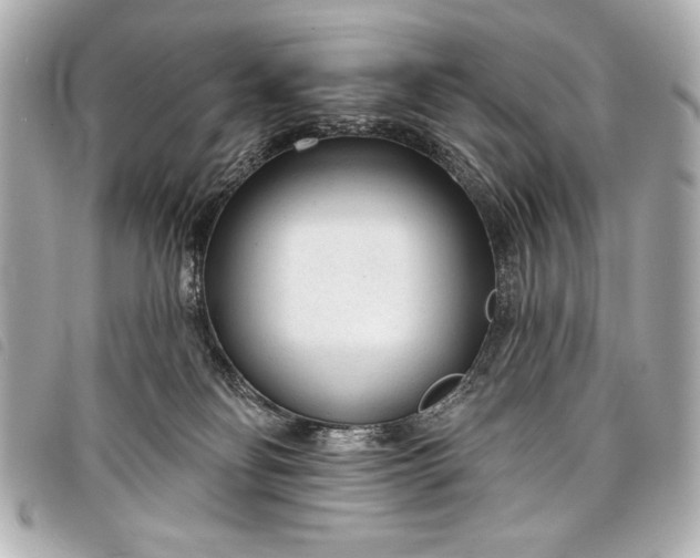 X0000098090134200804181245