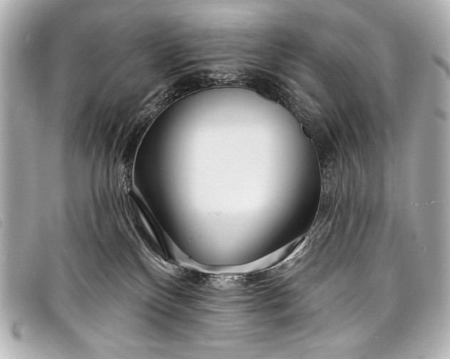 X0000098090136200804181245