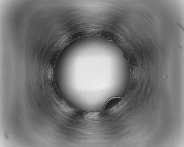 X0000098090138200804181245